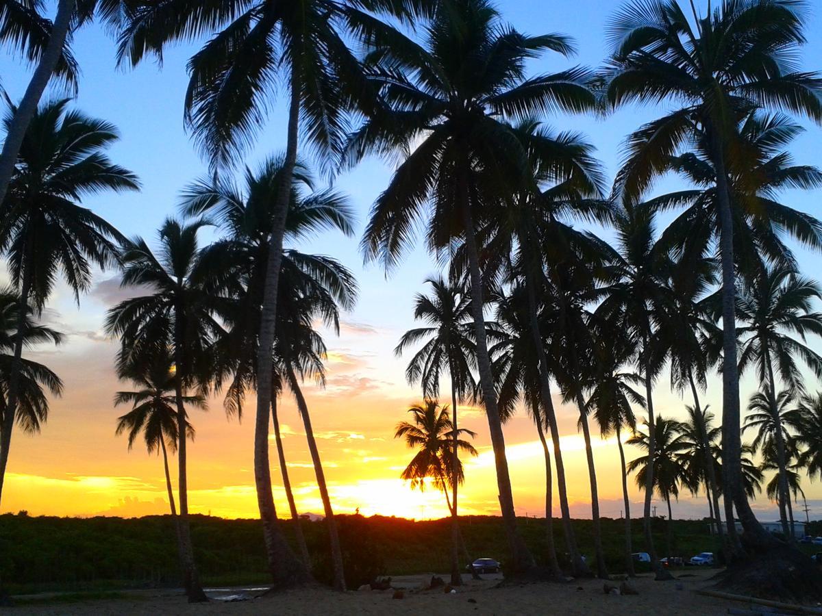 Riviera Punta Cana Eco Travelers Dış mekan fotoğraf